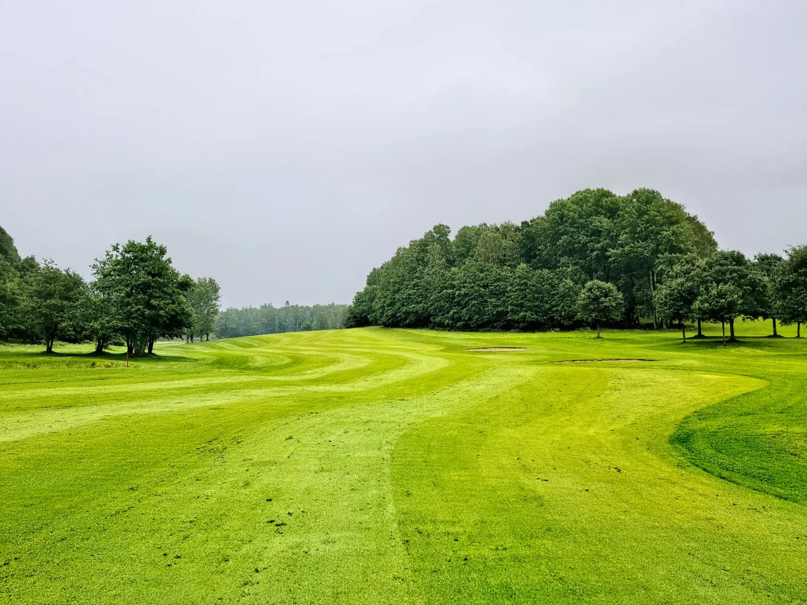 A tree-lined golf fairway with mown stripes on a bright day